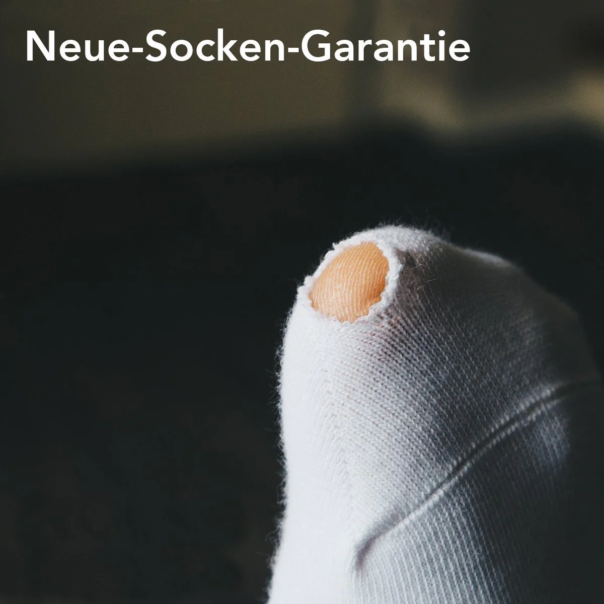 Vorschaubild 8